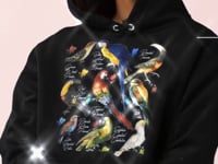 Tropical Bird Graphic Tee Shirt , Hoodie Sweatshirt