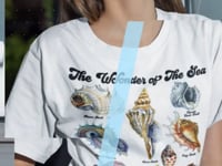 Seashell Graphic Tee Shirt, Hoodie Sweatshirt