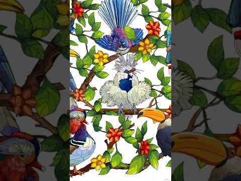 Tropical Bird Graphic Tee Shirt, Hoodie Sweatshirt