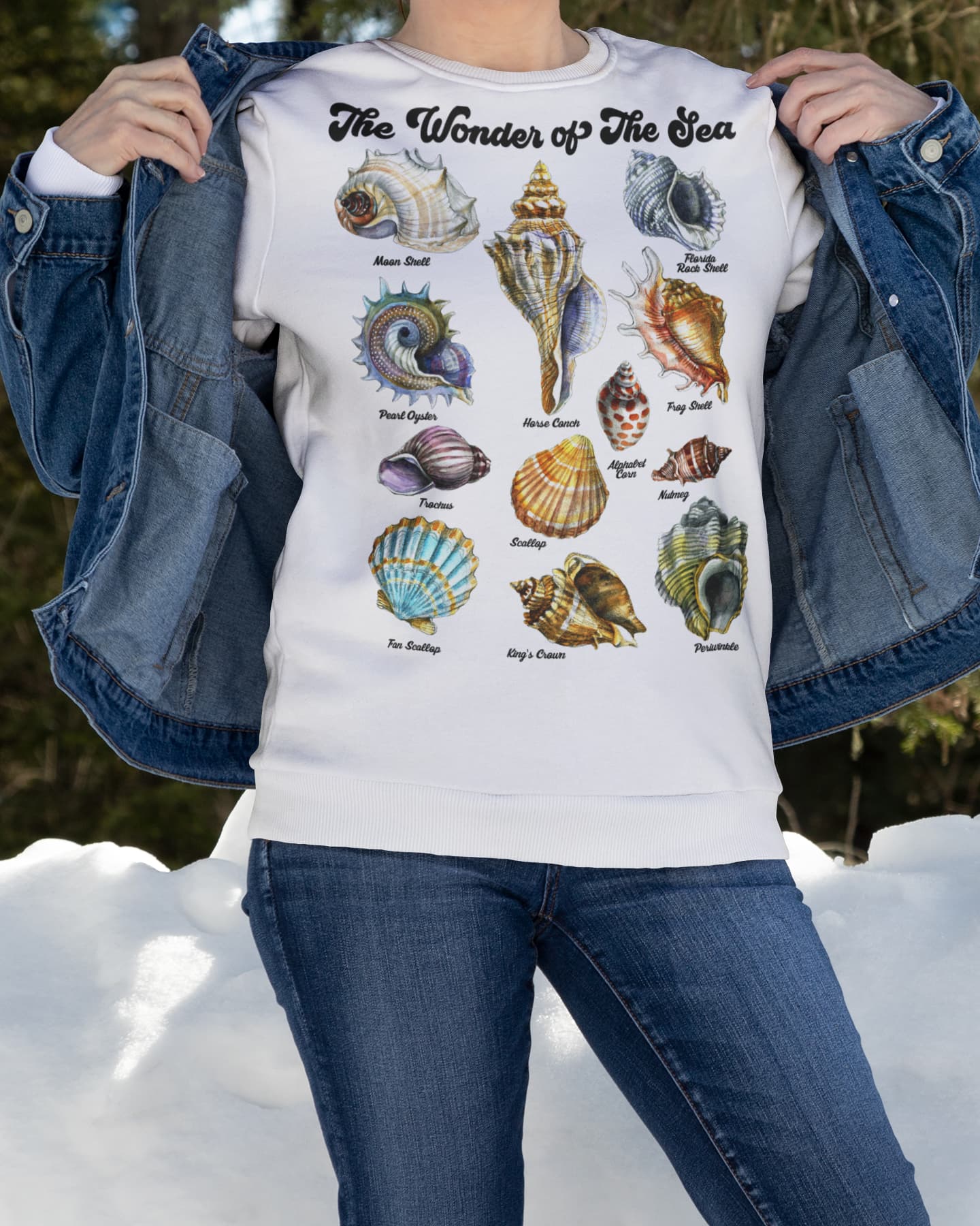 Seashell Graphic Tee Shirt, Hoodie Sweatshirt